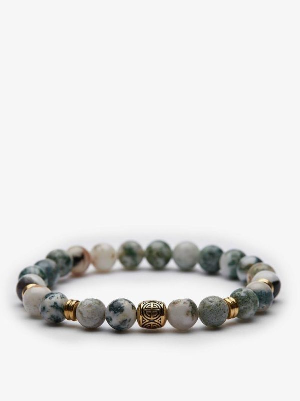 Myvoic.shop733805870e 1