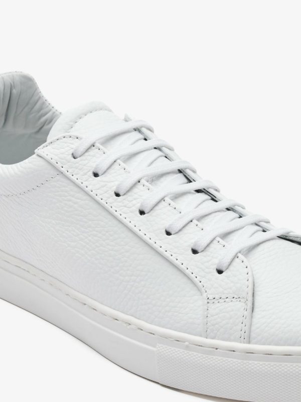 Myvoic.shopc7a70c76cb 4